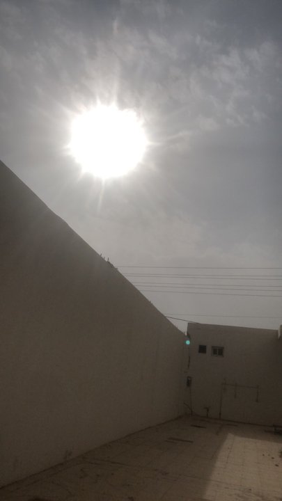 مشاركاتي في أنت الراصد