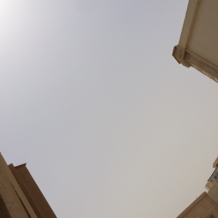 مشاركاتي في أنت الراصد