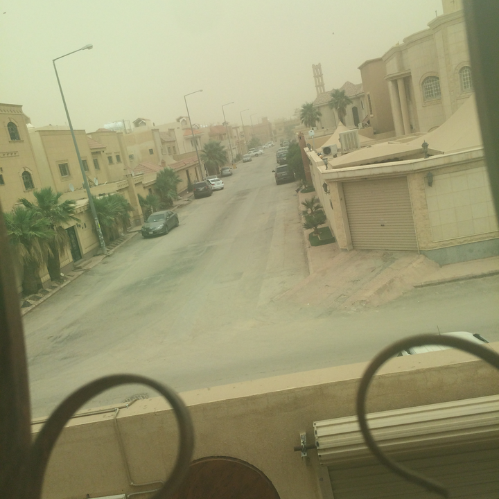 مشاركاتي في أنت الراصد