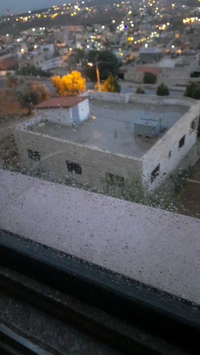 مشاركاتي في أنت الراصد