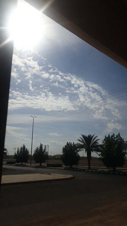 مشاركاتي في أنت الراصد