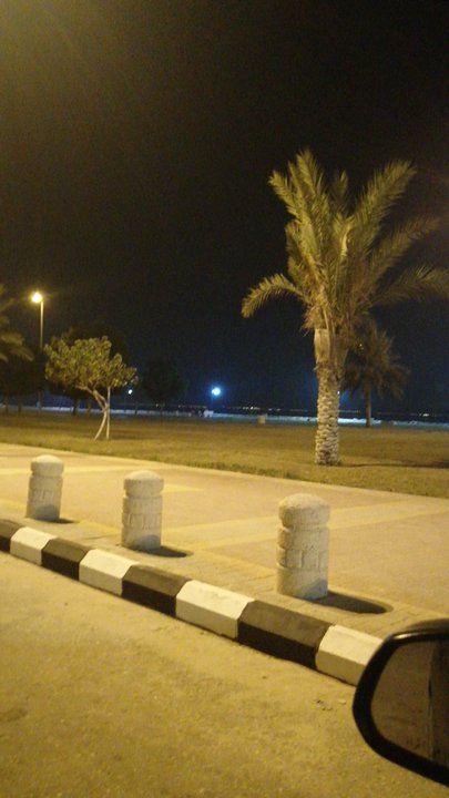 مشاركاتي في أنت الراصد