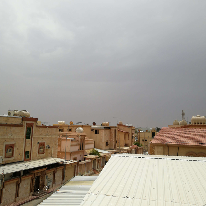 مشاركاتي في أنت الراصد