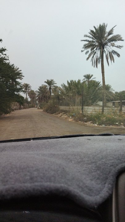 مشاركاتي في أنت الراصد