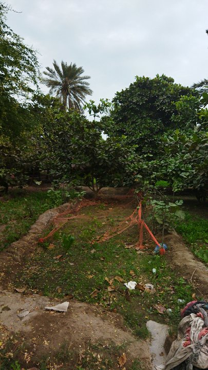 مشاركاتي في أنت الراصد