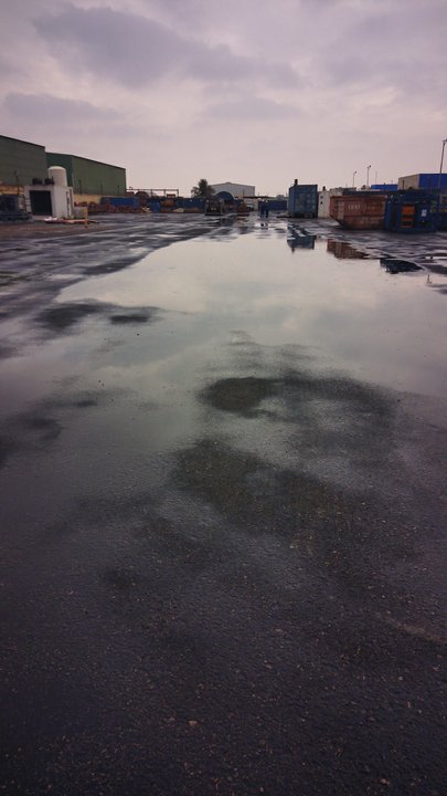 مشاركاتي في أنت الراصد