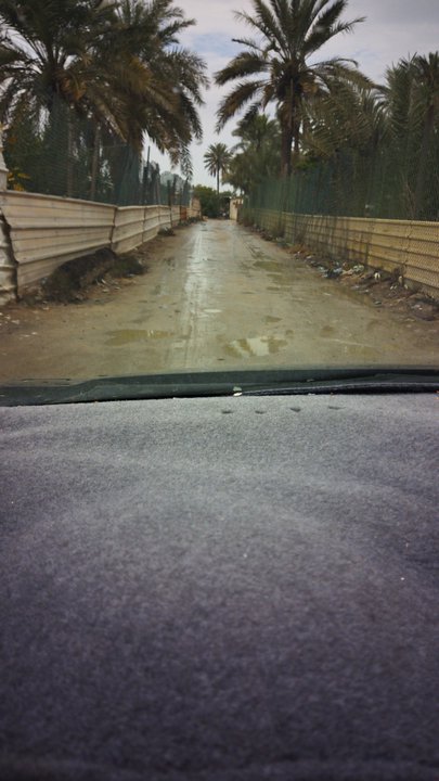 مشاركاتي في أنت الراصد