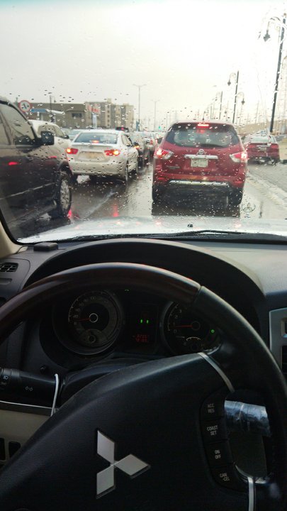 مشاركاتي في أنت الراصد