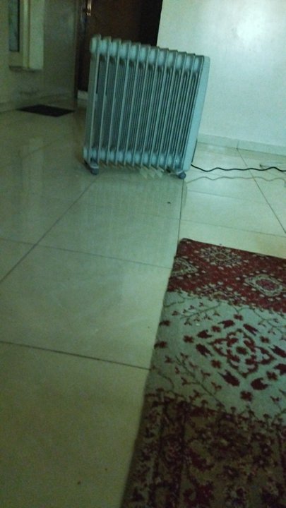 مشاركاتي في أنت الراصد