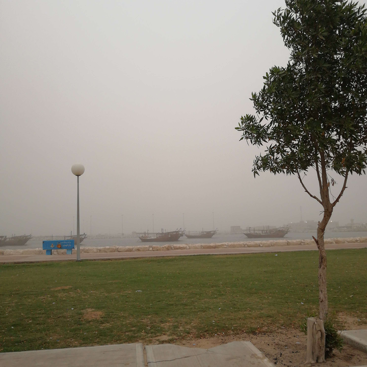 مشاركاتي في أنت الراصد