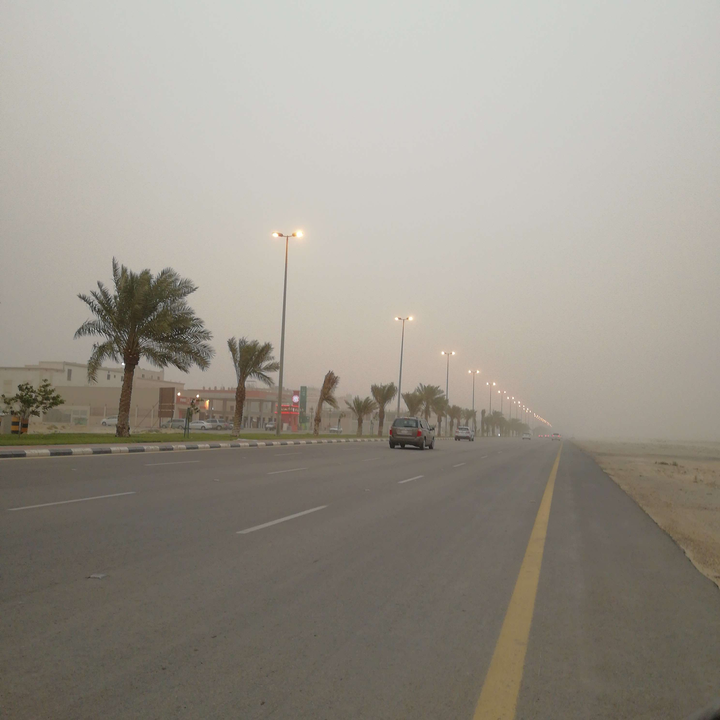 مشاركاتي في أنت الراصد