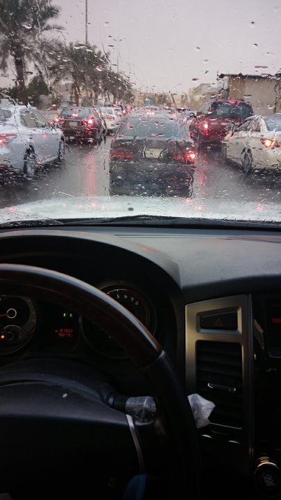 مشاركاتي في أنت الراصد