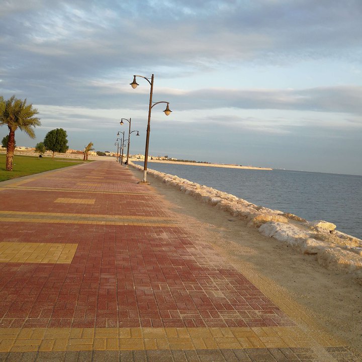 مشاركاتي في أنت الراصد