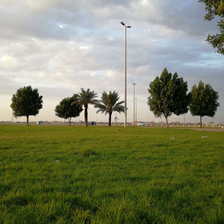 مشاركاتي في أنت الراصد