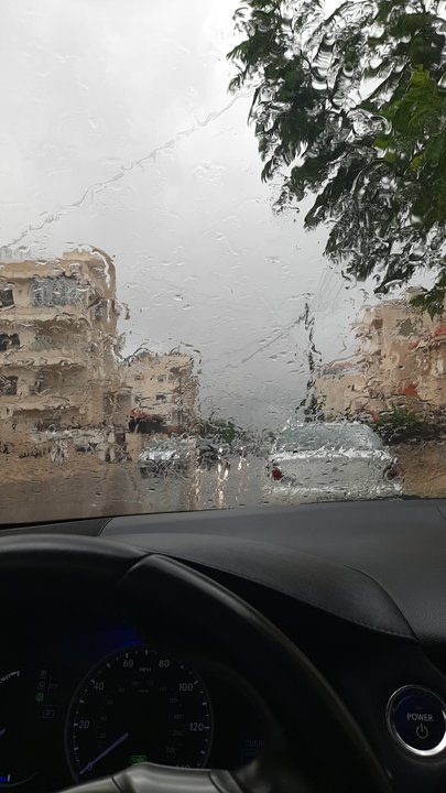 مشاركاتي في أنت الراصد