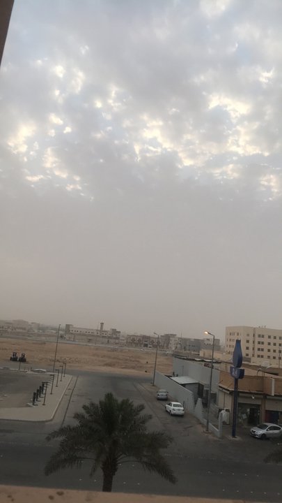 مشاركاتي في أنت الراصد