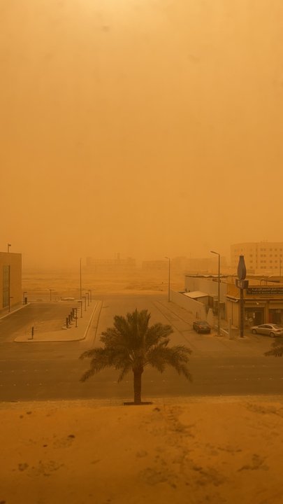 مشاركاتي في أنت الراصد