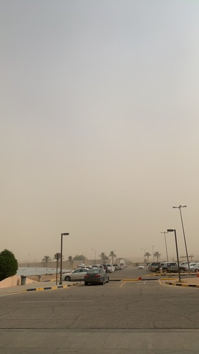 مشاركاتي في أنت الراصد