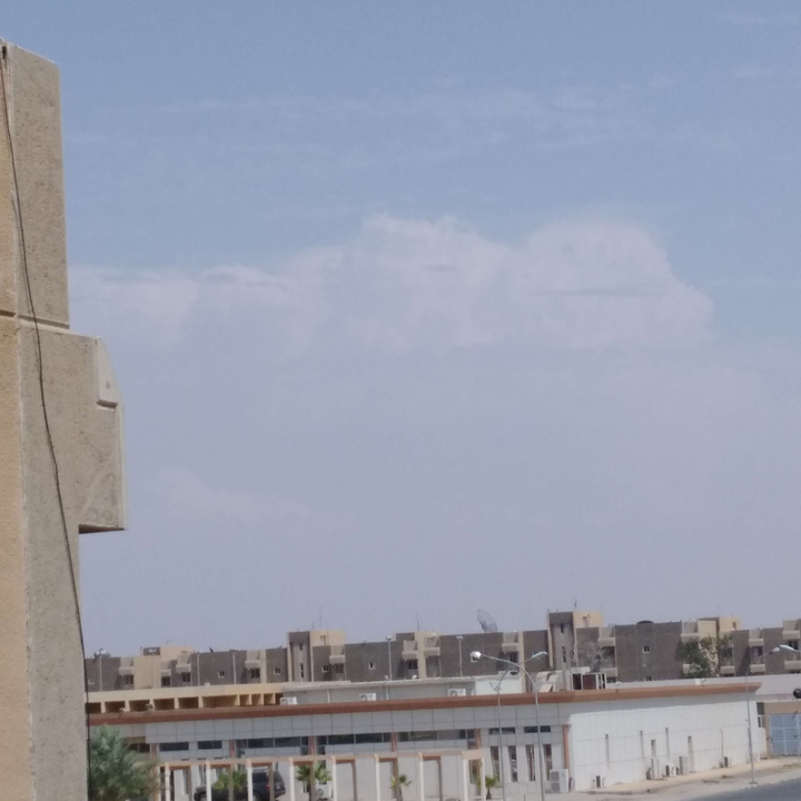 مشاركاتي في أنت الراصد