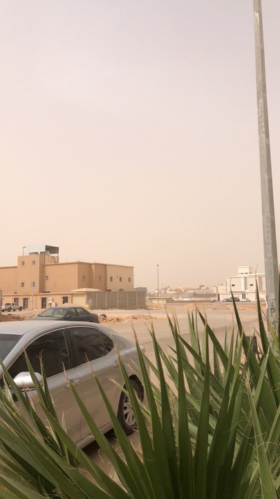 مشاركاتي في أنت الراصد