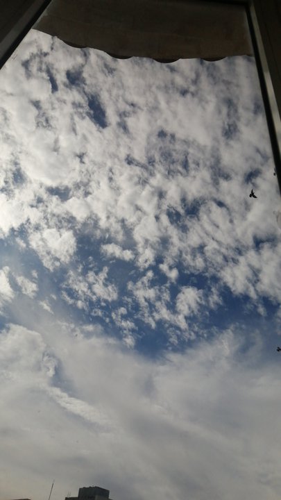 مشاركاتي في أنت الراصد