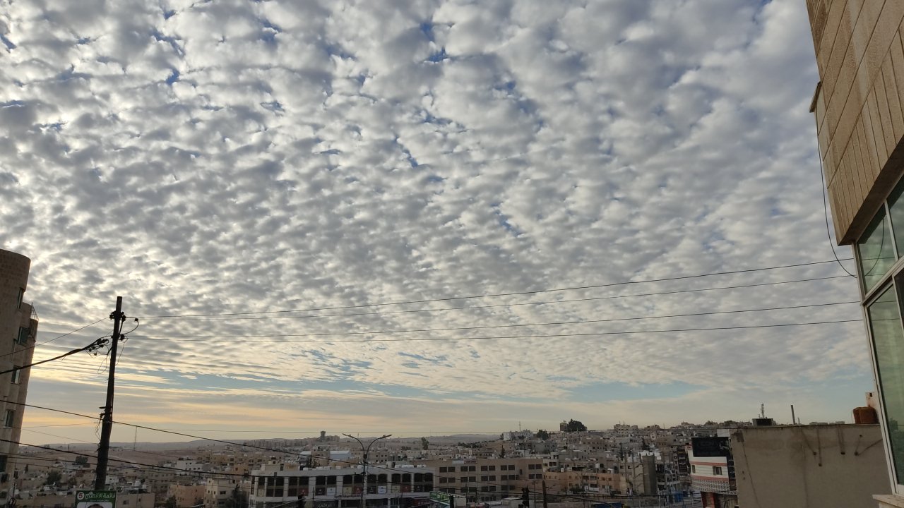 مشاركاتي في أنت الراصد