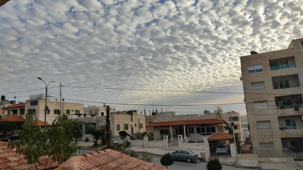 مشاركاتي في أنت الراصد