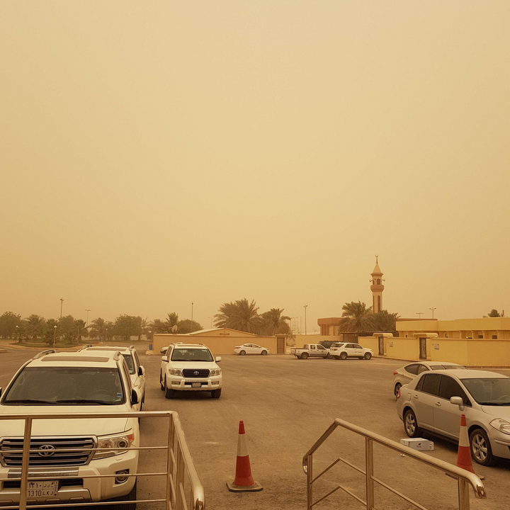 مشاركاتي في أنت الراصد