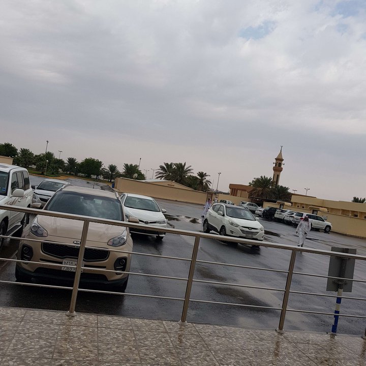 مشاركاتي في أنت الراصد