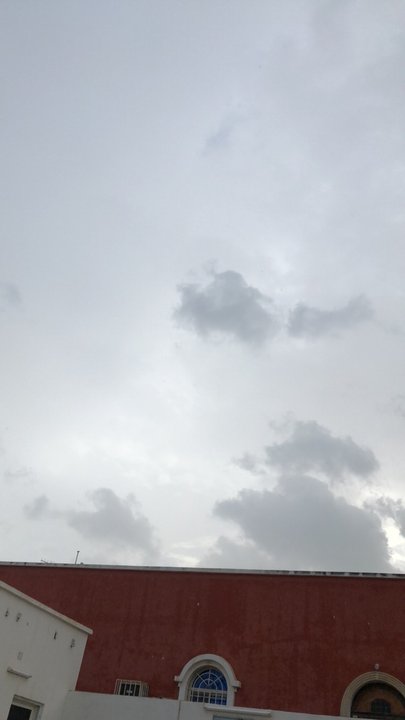 مشاركاتي في أنت الراصد