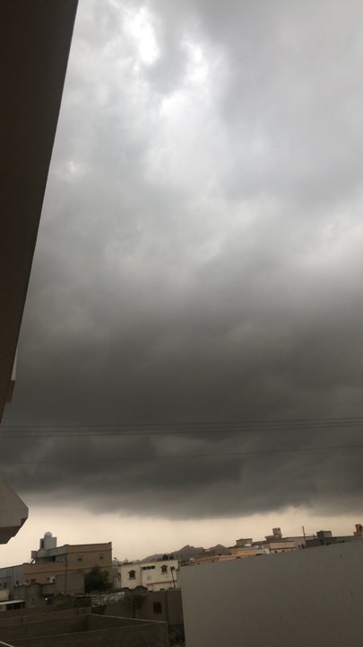 مشاركاتي في أنت الراصد