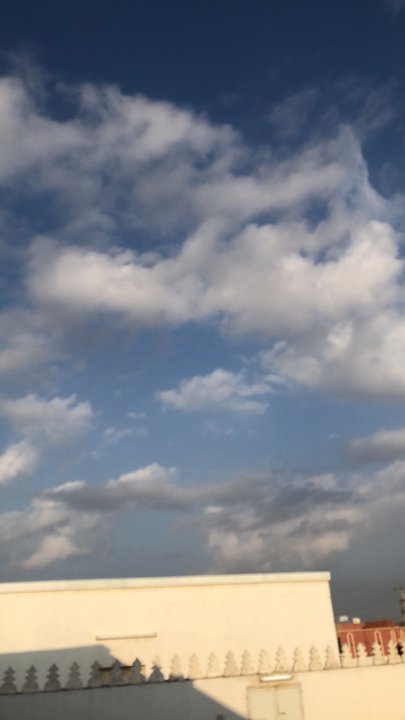 مشاركاتي في أنت الراصد