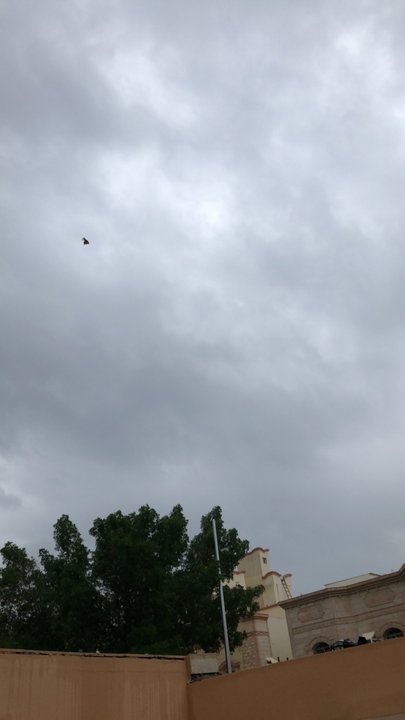 مشاركاتي في أنت الراصد