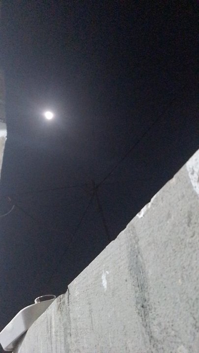 مشاركاتي في أنت الراصد