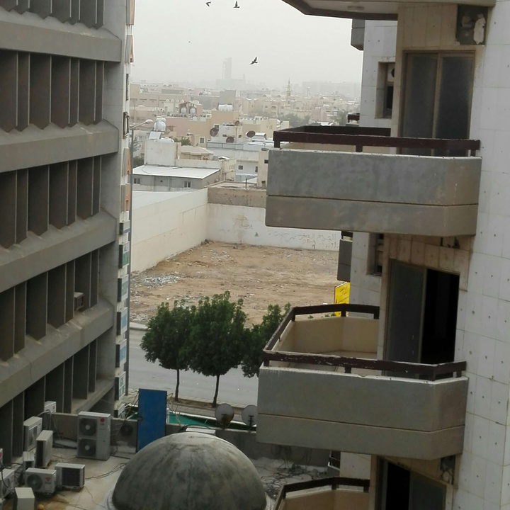 مشاركاتي في أنت الراصد