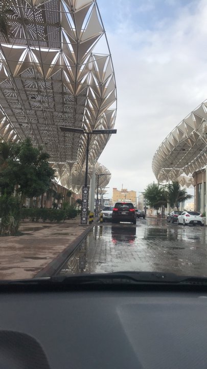 مشاركاتي في أنت الراصد