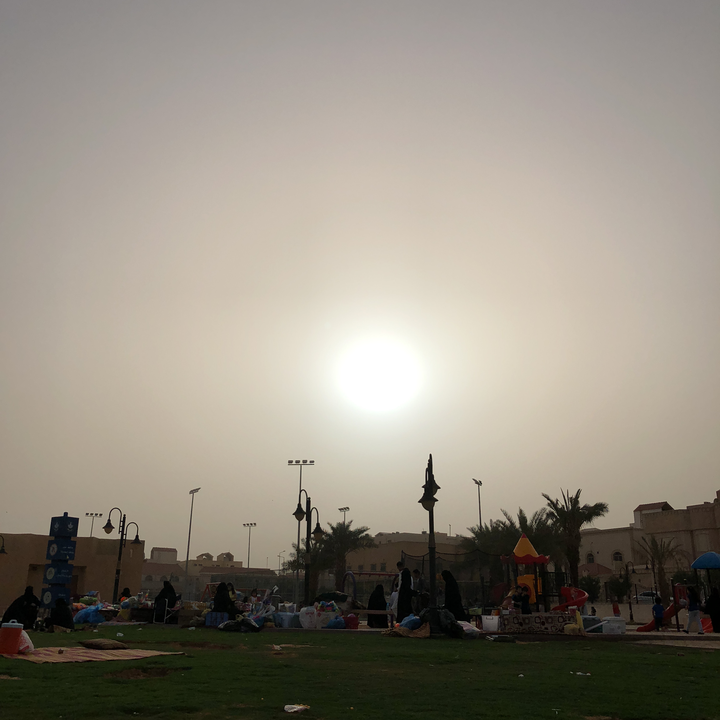 مشاركاتي في أنت الراصد