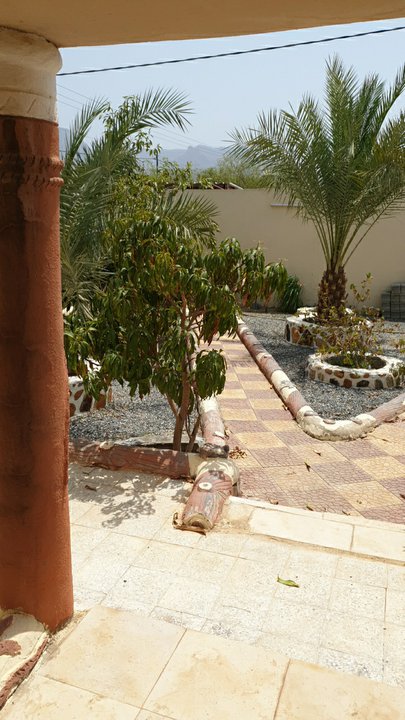 مشاركاتي في أنت الراصد