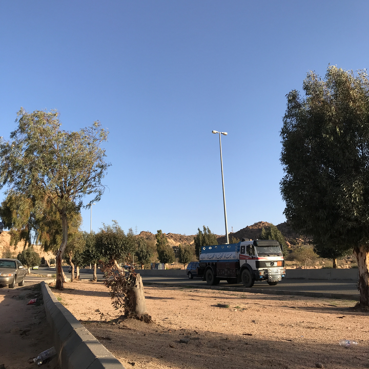 مشاركاتي في أنت الراصد