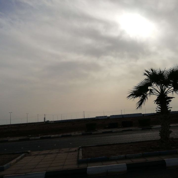 مشاركاتي في أنت الراصد