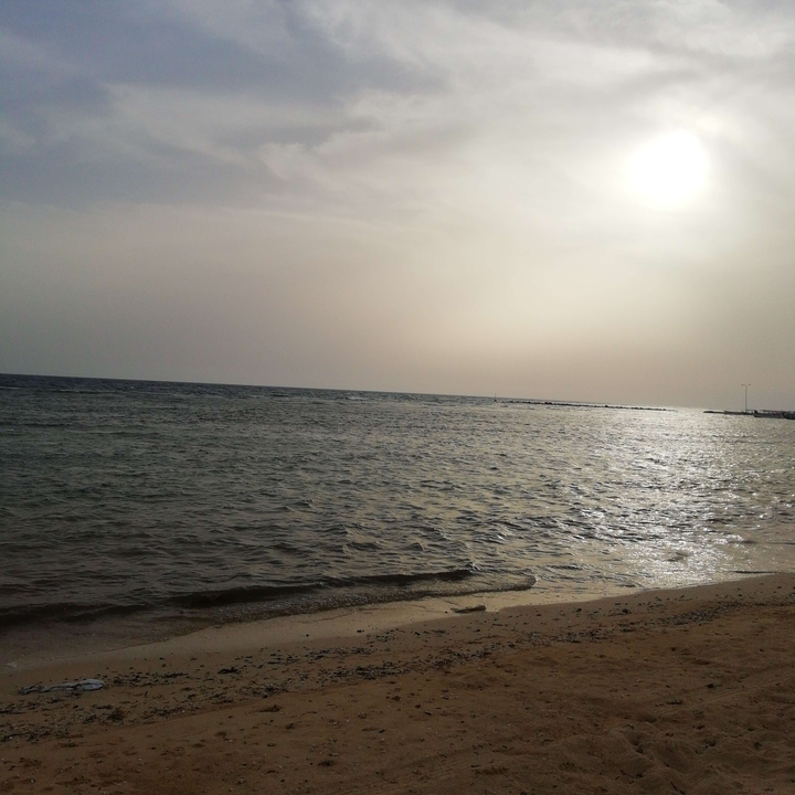 مشاركاتي في أنت الراصد