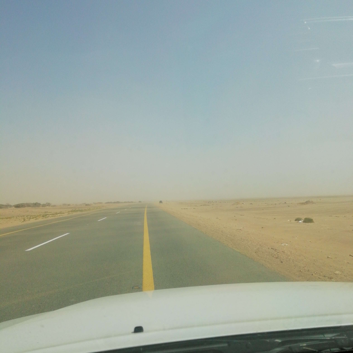 مشاركاتي في أنت الراصد