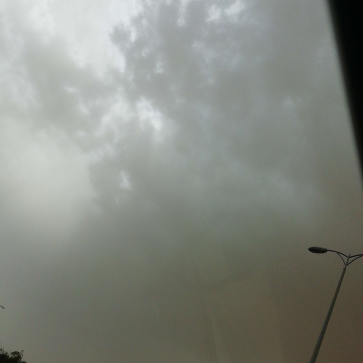 مشاركاتي في أنت الراصد