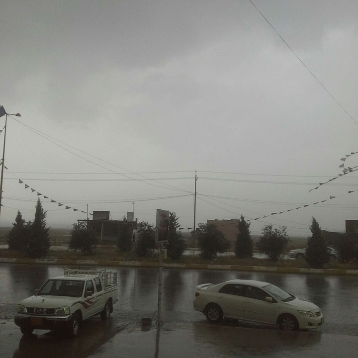 مشاركاتي في أنت الراصد