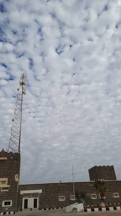 مشاركاتي في أنت الراصد