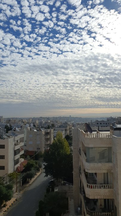 مشاركاتي في أنت الراصد