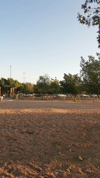 مشاركاتي في أنت الراصد