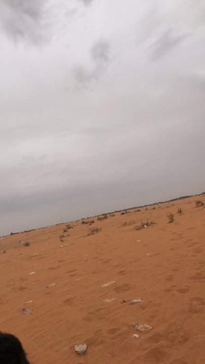 مشاركاتي في أنت الراصد