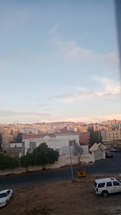 مشاركاتي في أنت الراصد