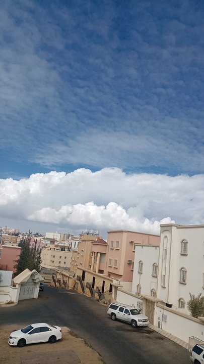 مشاركاتي في أنت الراصد